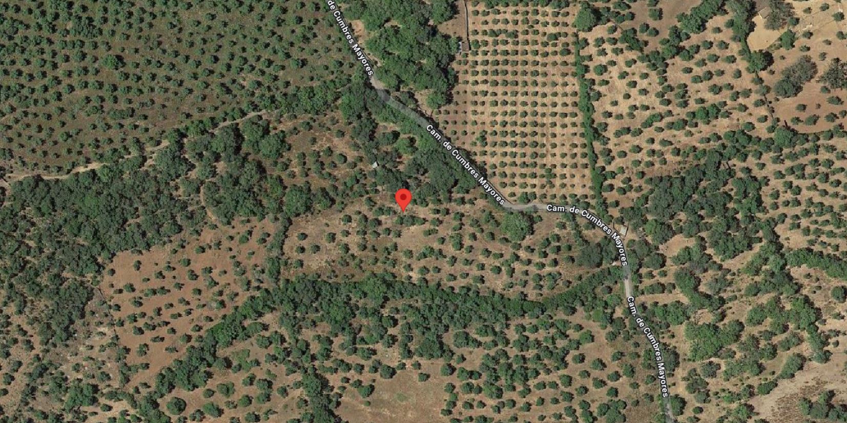 1/3 undivided part of the rustic property in Paraje Sierra del Rey, Hinojales (Huelva). FR 1196 RP Aracena