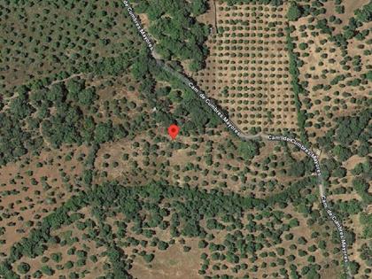 1/3 parte indivisa de la finca rústica en Paraje Sierra del Rey, de Hinojales (Huelva). FR 1196 RP Aracena